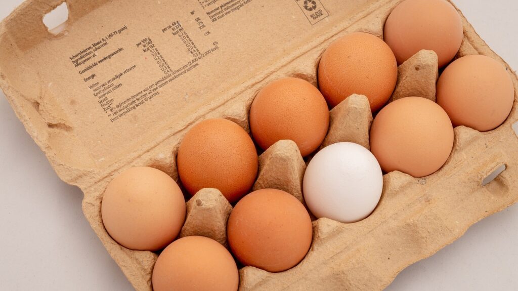 eggs, ten, field, egg, different, the difference, orange, egg, orange, eggs, the orange box, discrimination, races, racism, racist or not